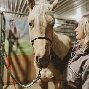 Meet your Posher, Ali